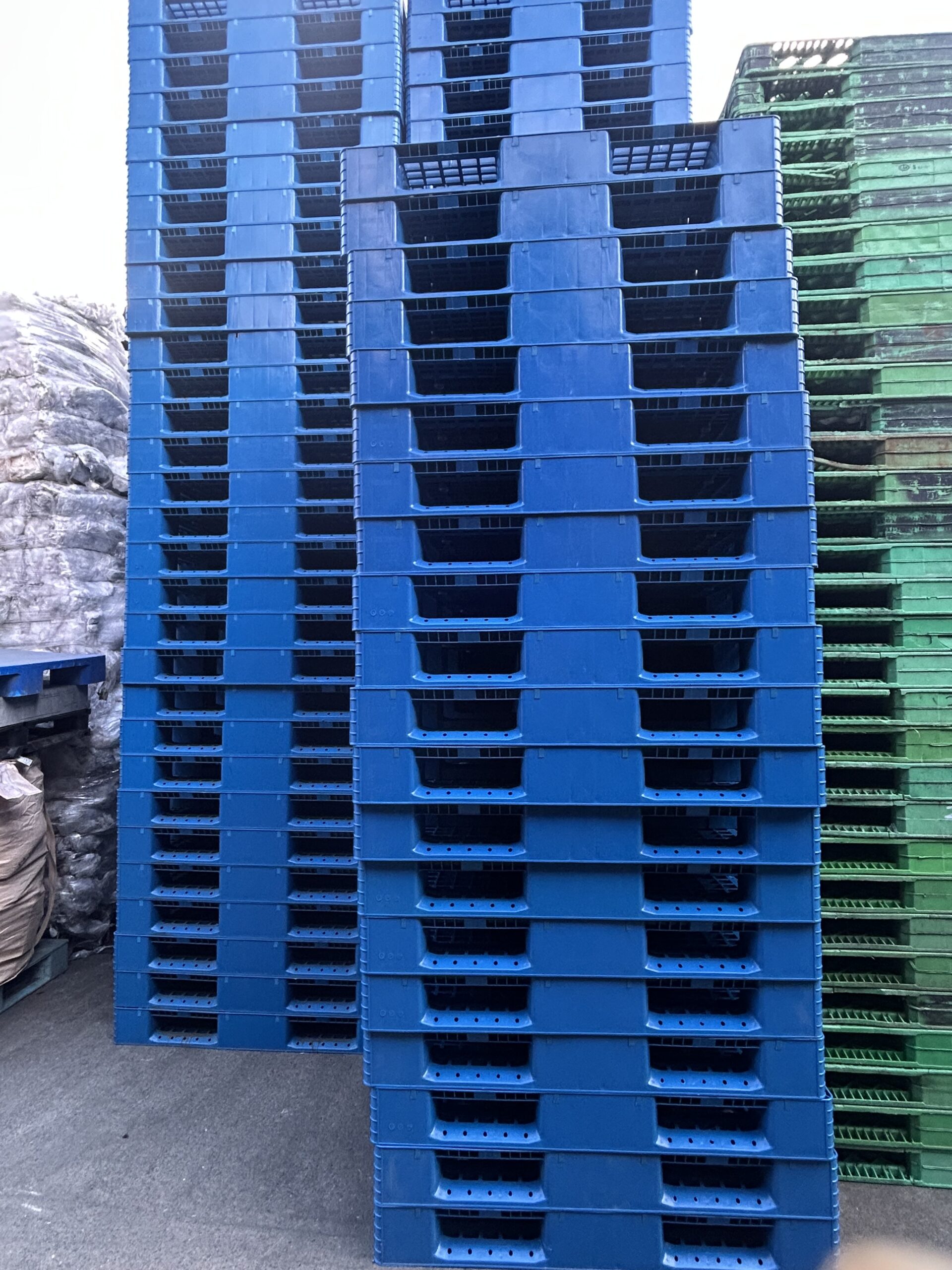 中古パレット（プラパレ）1.0×1.2　片面、仕様統一